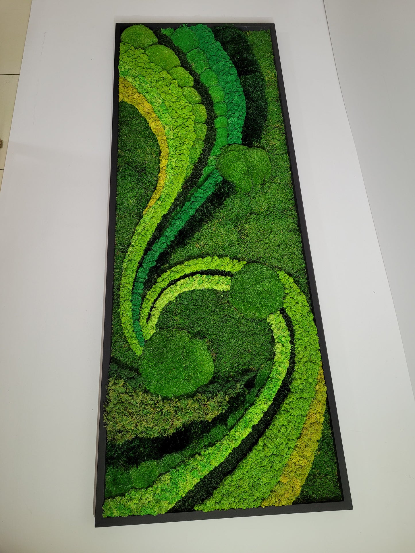 Preserved Moss Art Framed.