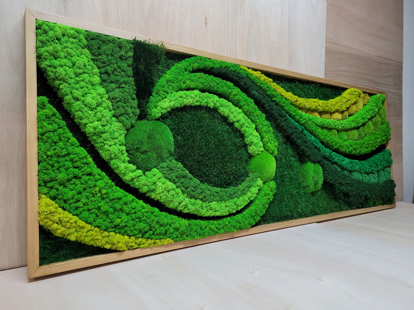 Preserved Moss Art Framed.