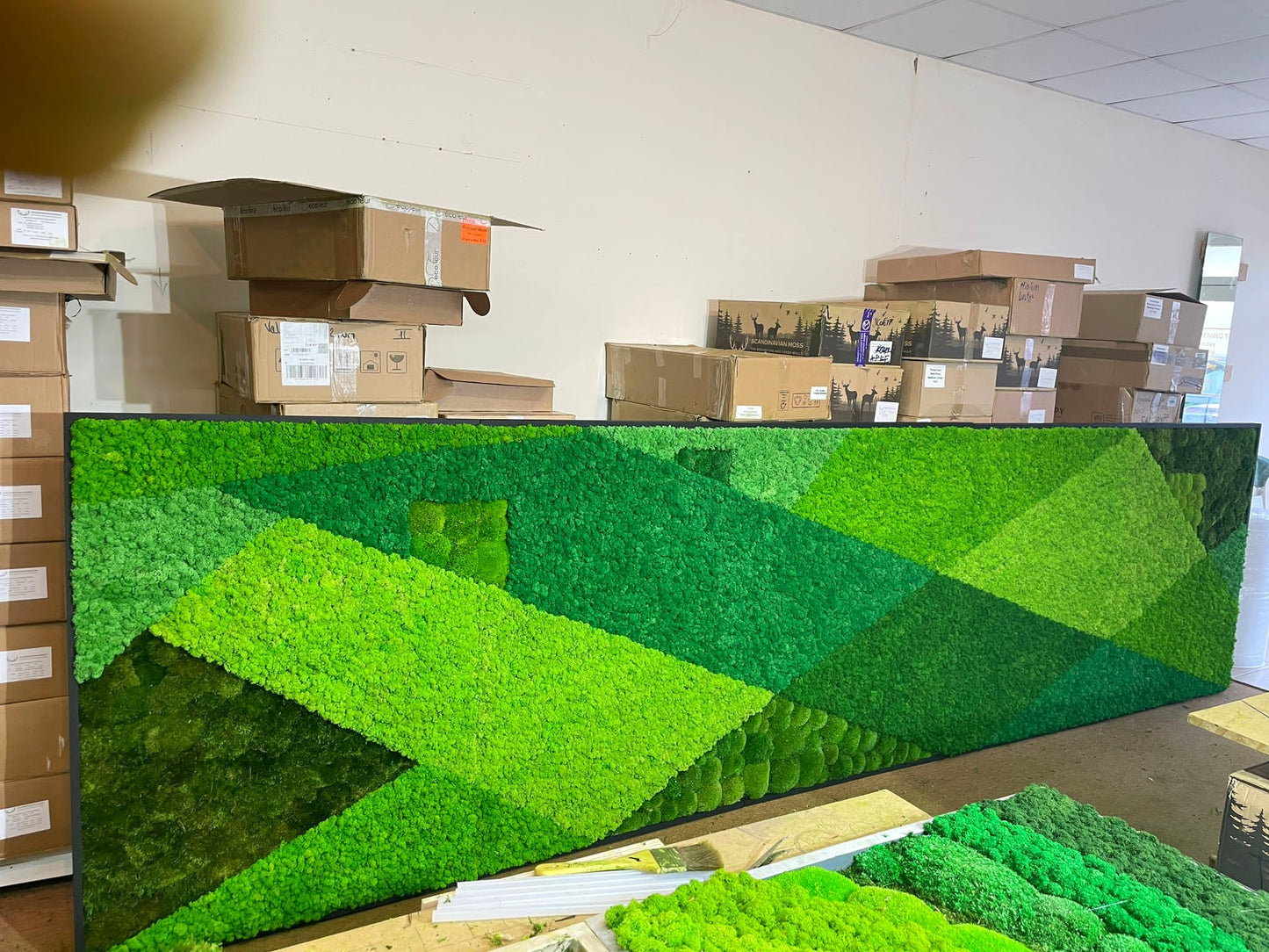 Moss Wall Art