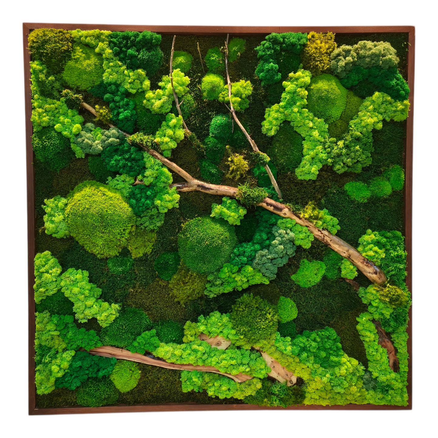 Moss Art