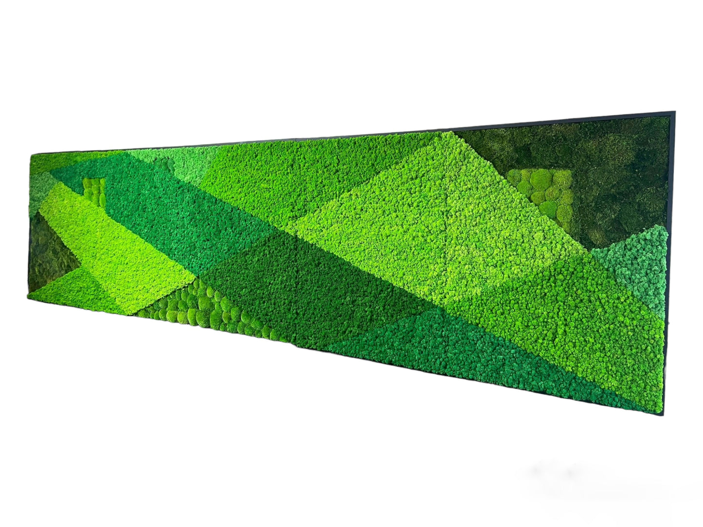 Moss Wall Art