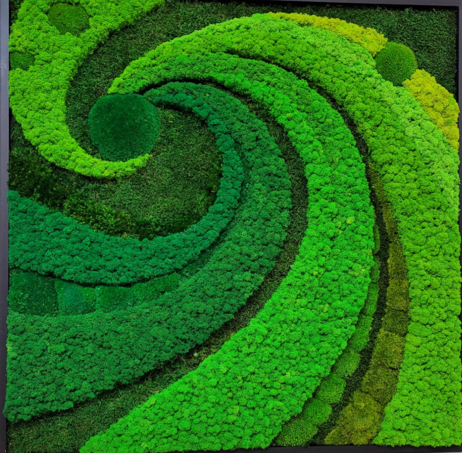 Moss frame, Moss Wall Art, Nature Room Decor, Art Modern wall