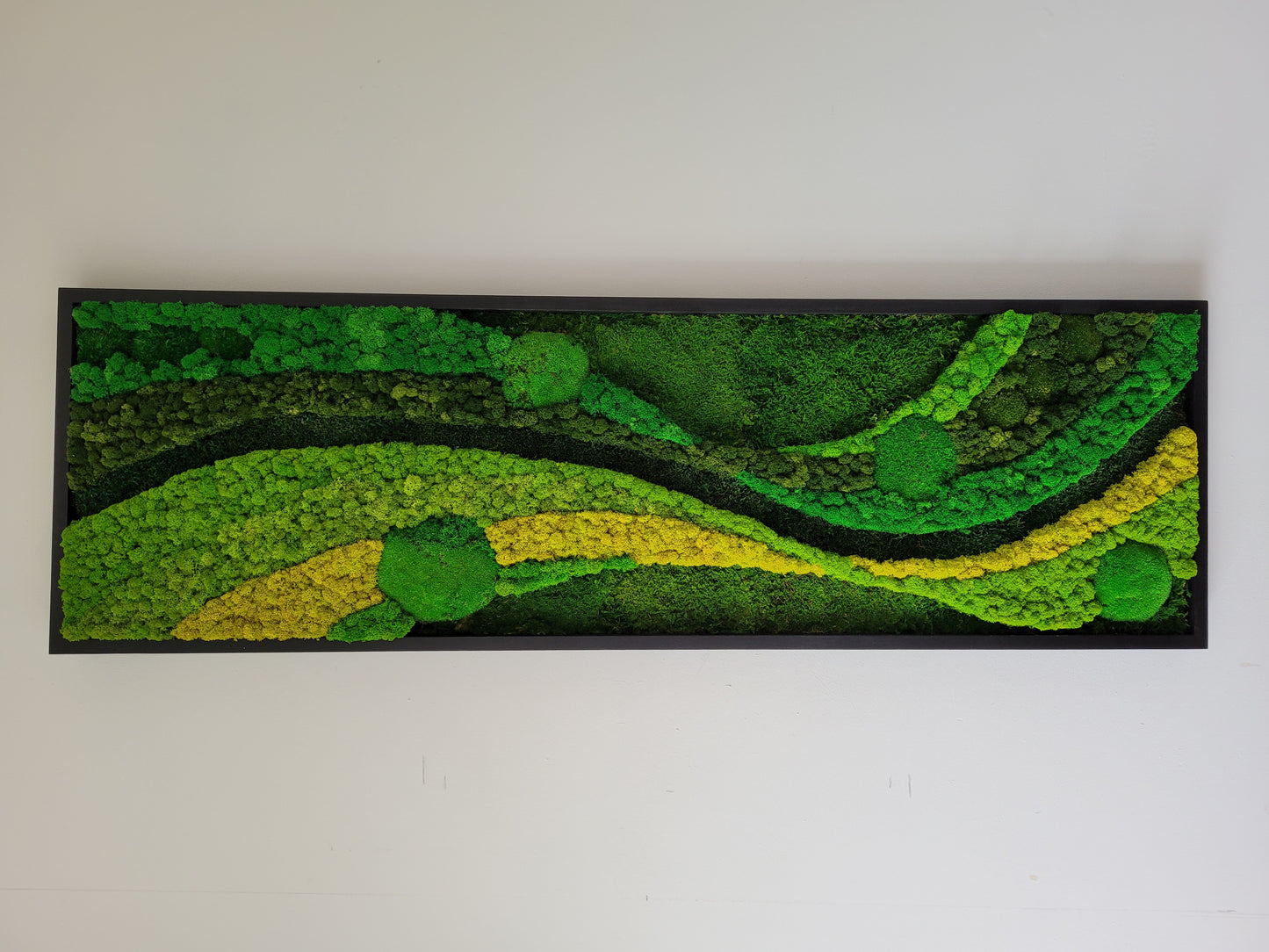 Moss Walls Art