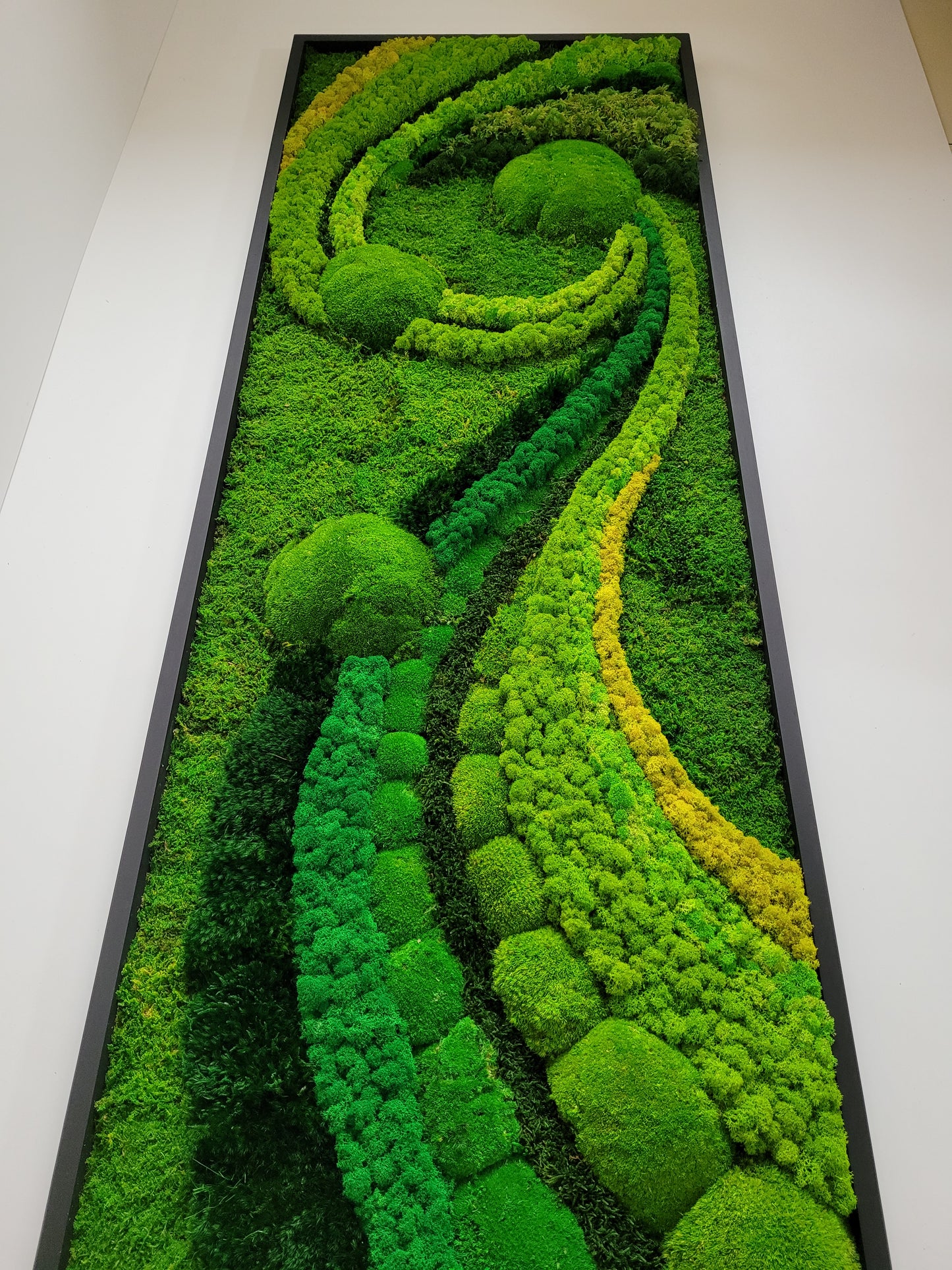 Preserved Moss Art Framed.