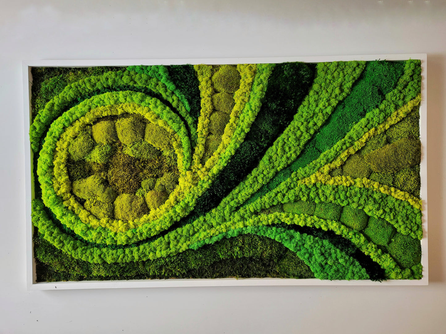 Moss frame,  Moss Wall Art,  Nature Room Decor, Art Modern wall