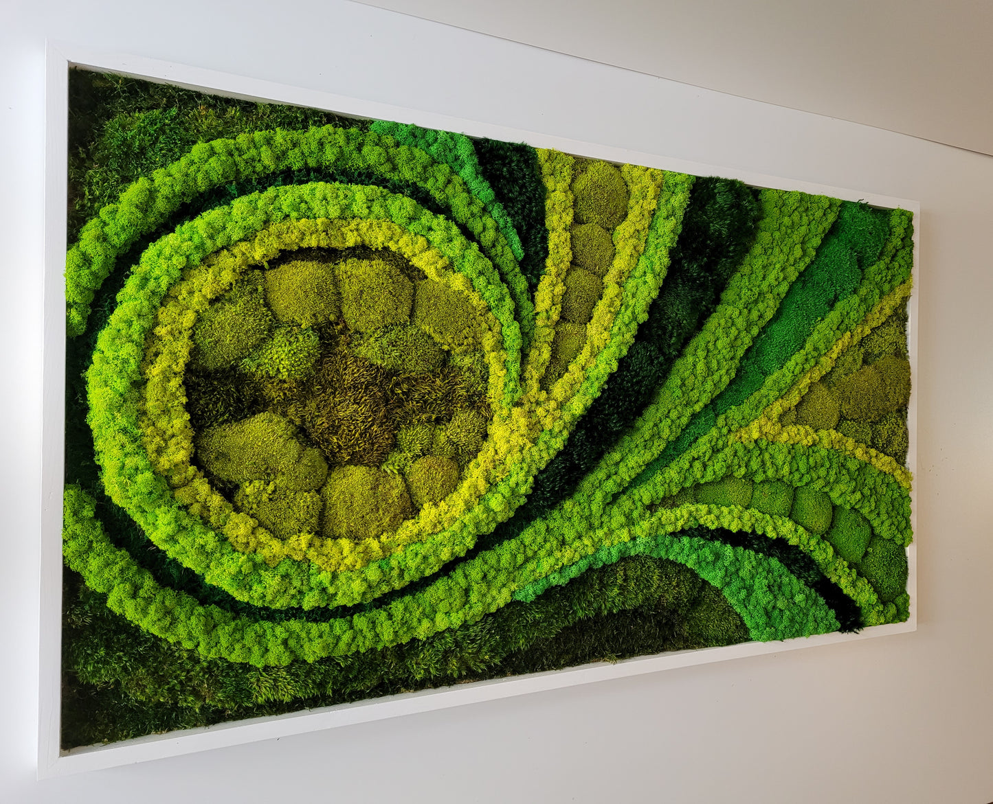 Moss frame,  Moss Wall Art,  Nature Room Decor, Art Modern wall