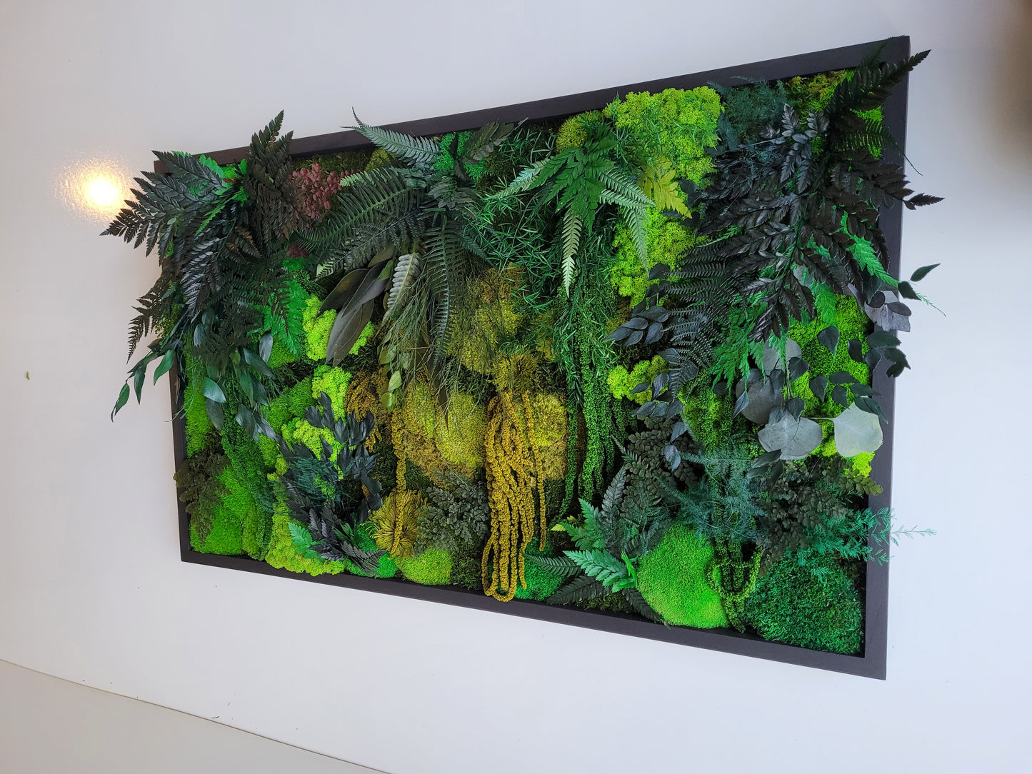 Moss Wall Art