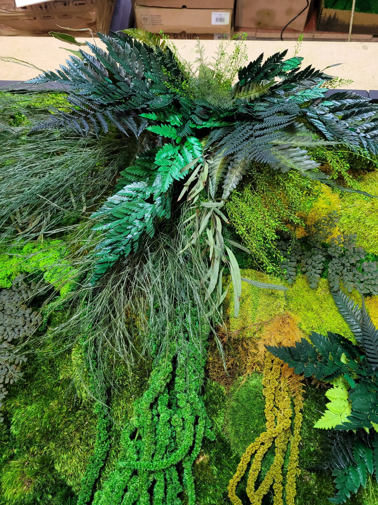 Moss Wall Art