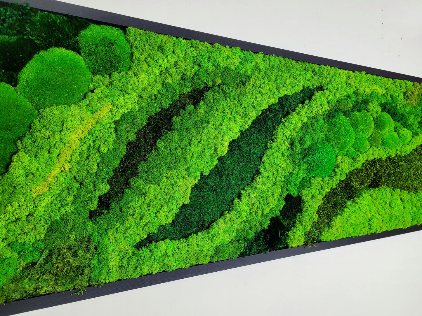 Moss frame,  Moss Wall Art,  Nature Room Decor, Art Modern wall