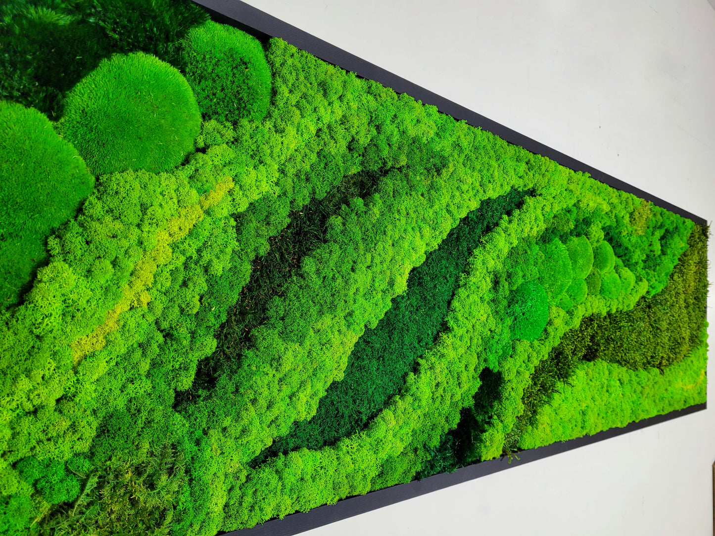 Moss frame,  Moss Wall Art,  Nature Room Decor, Art Modern wall