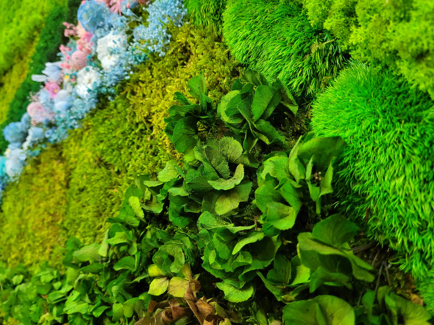 Preserved Moss Art