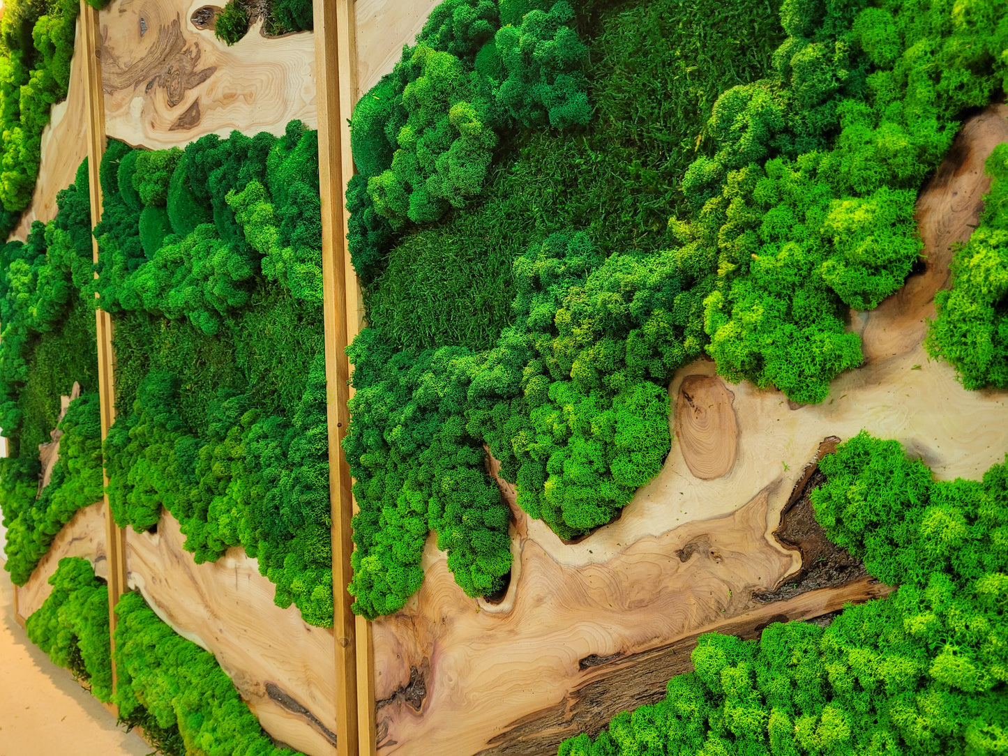 Moss Wall Art