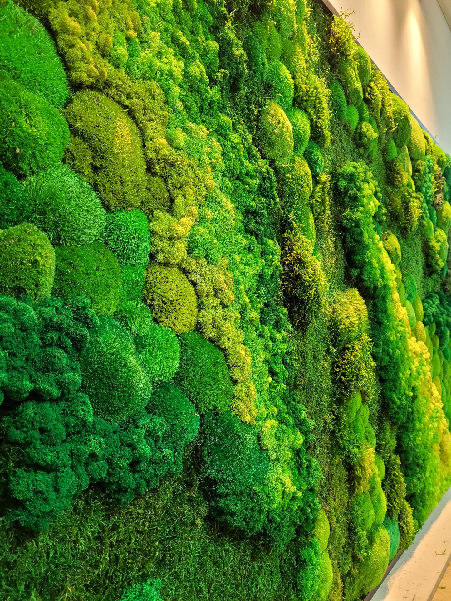 Moss frame,  Moss Wall Art