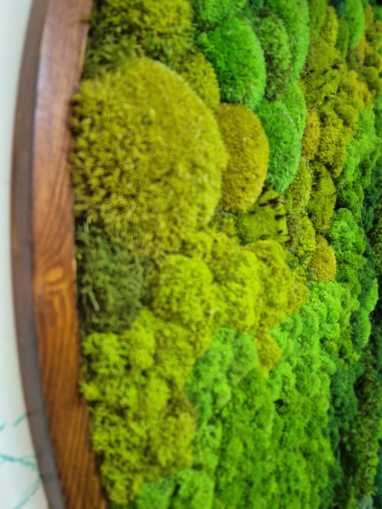 Moss Art