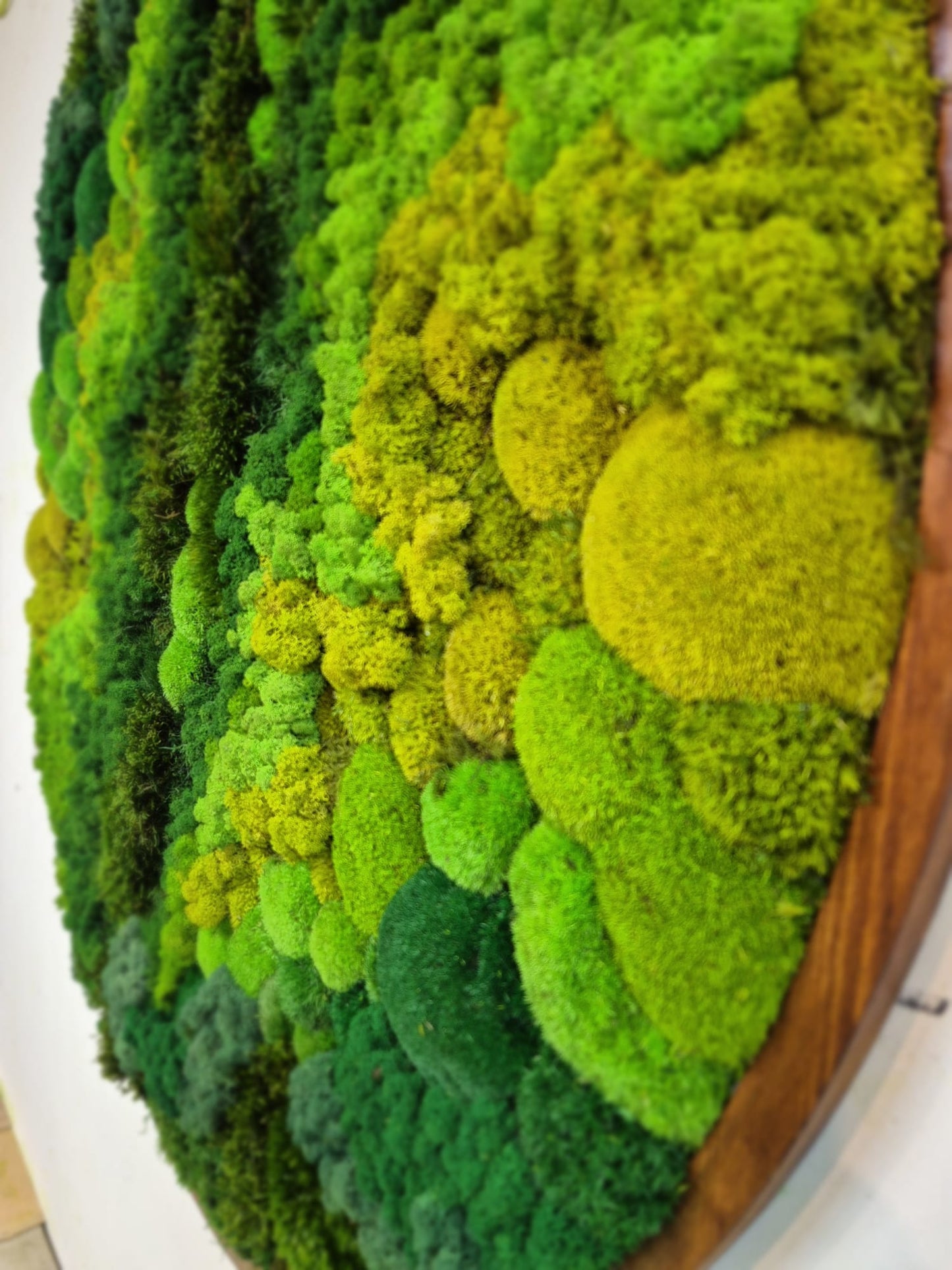 Moss Art
