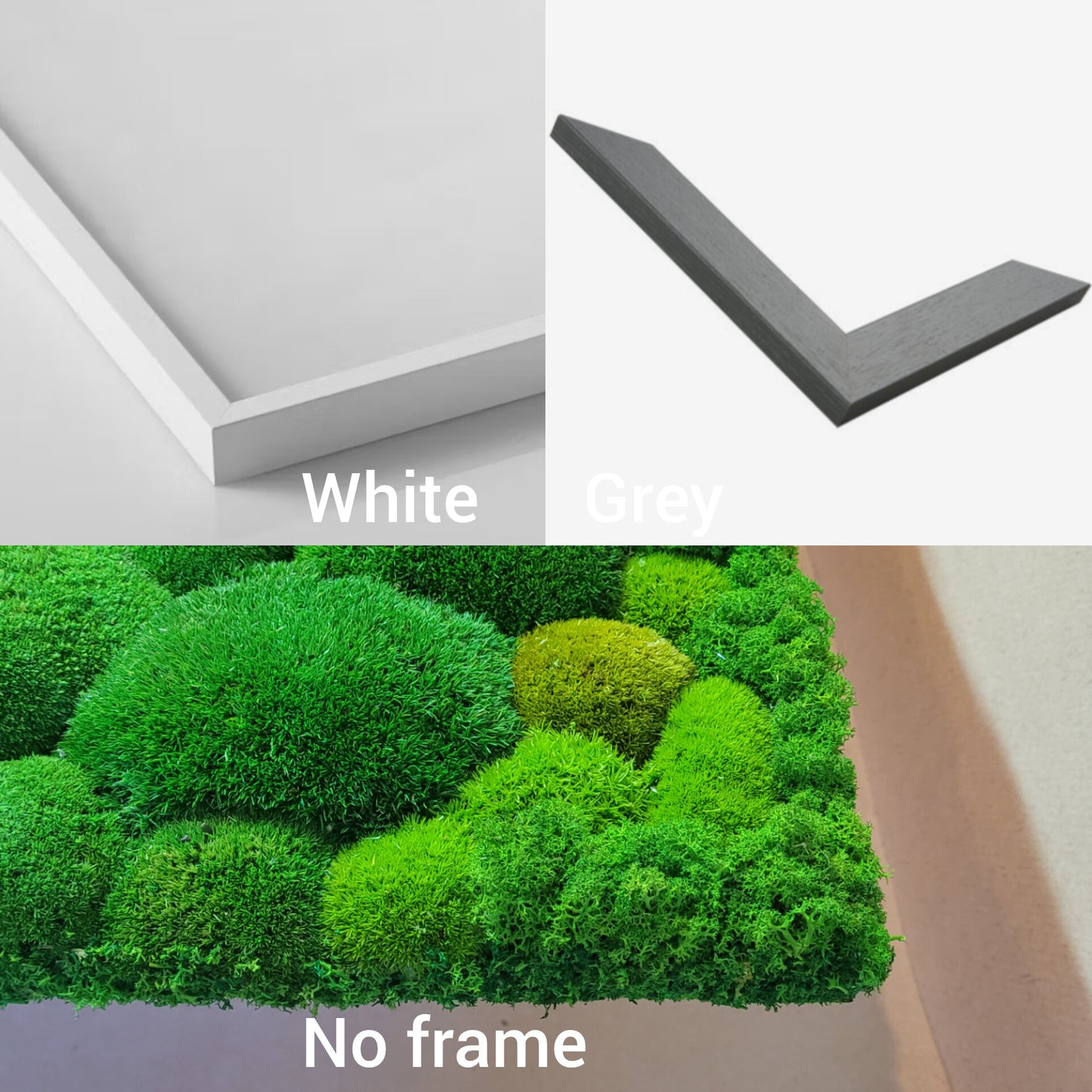 Moss frame,  Moss Wall Art