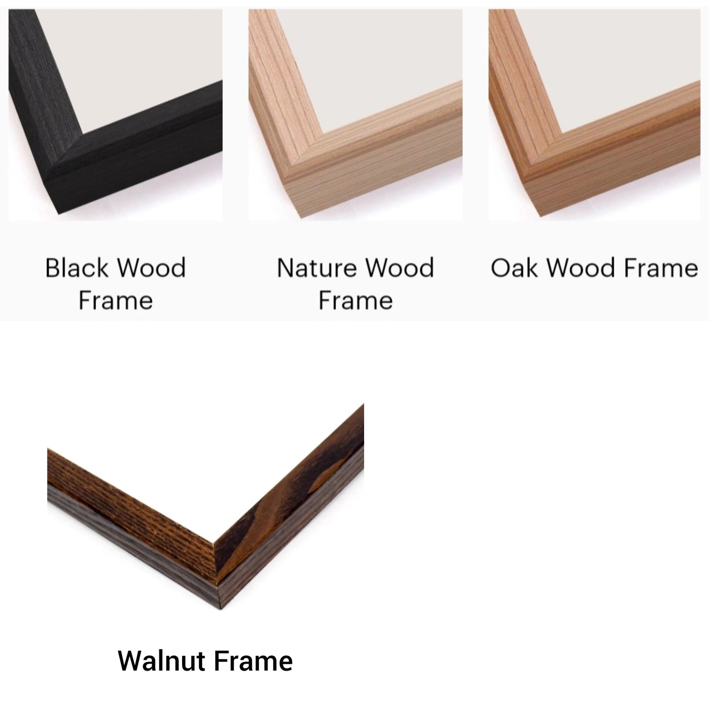 Moss frame,  Moss Wall Art