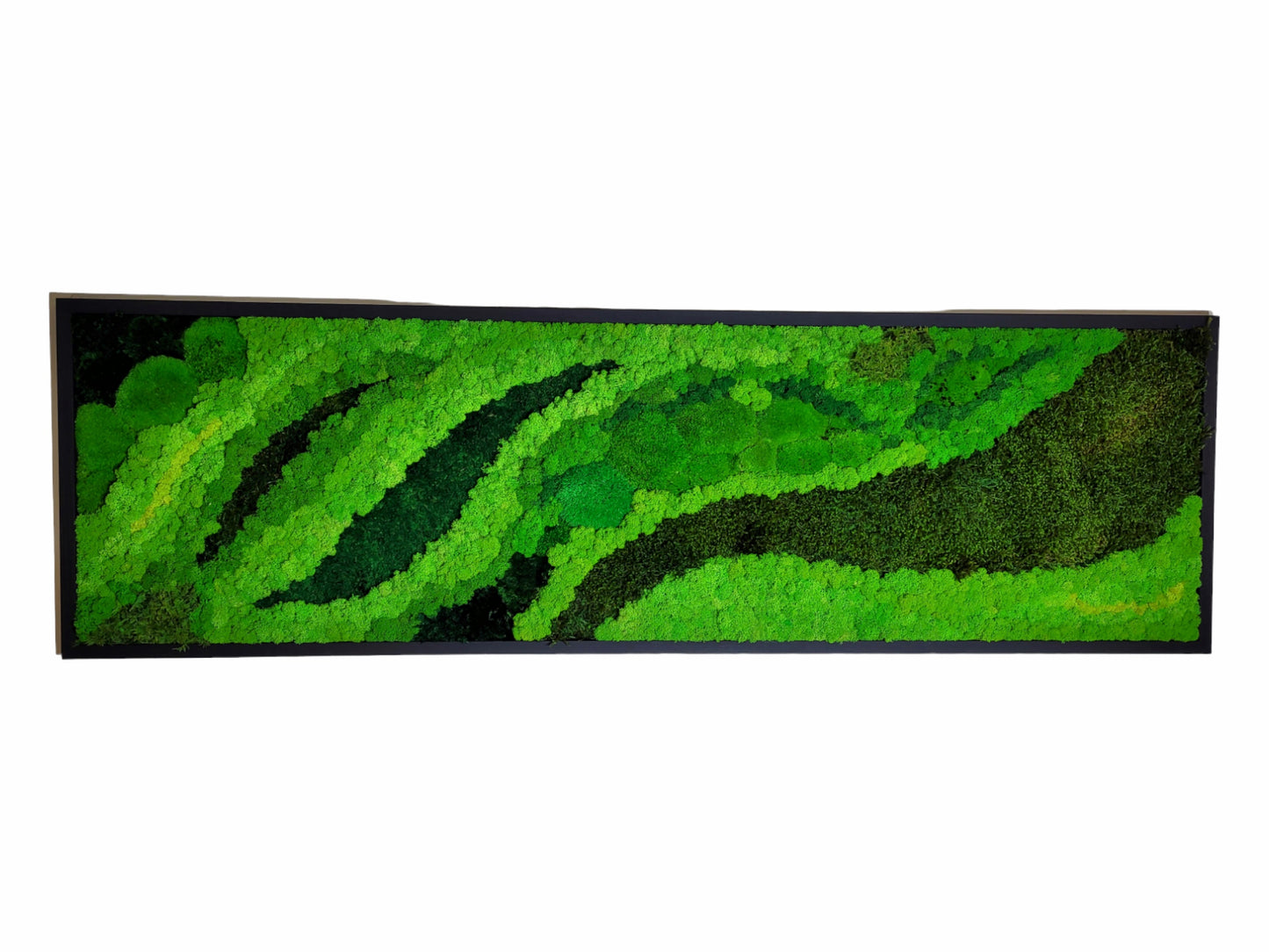 Moss frame,  Moss Wall Art,  Nature Room Decor, Art Modern wall
