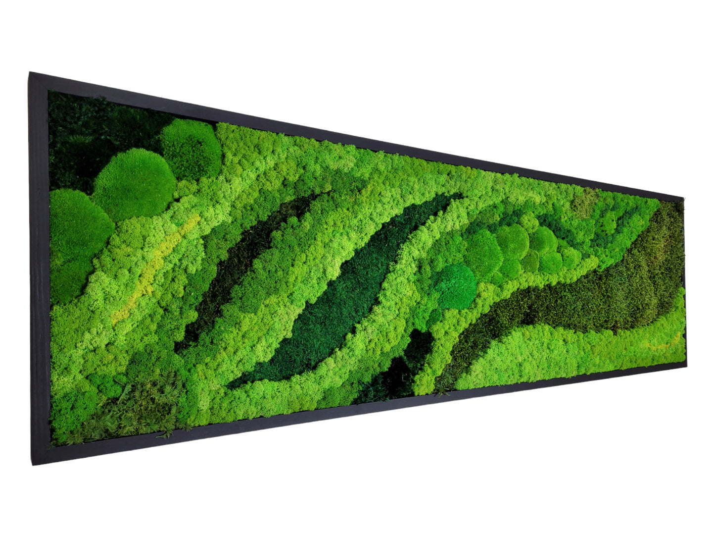 Moss frame,  Moss Wall Art,  Nature Room Decor, Art Modern wall