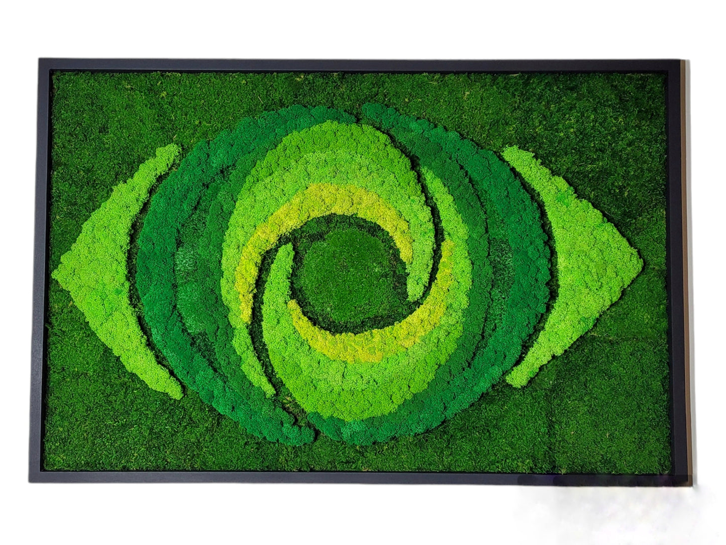 logo made from preserved moss for an eye clinic