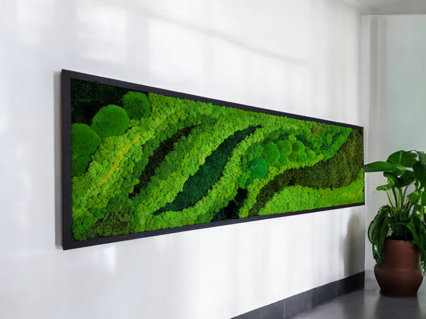 Preserved Moss Art Framed. Picture of preserved moss