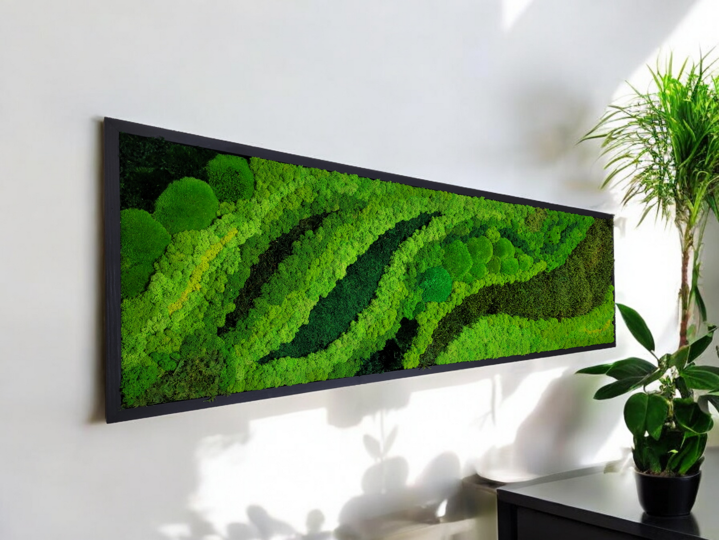 Preserved Moss Art Framed. Picture of preserved moss