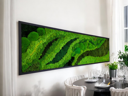 Preserved Moss Art Framed. Picture of preserved moss