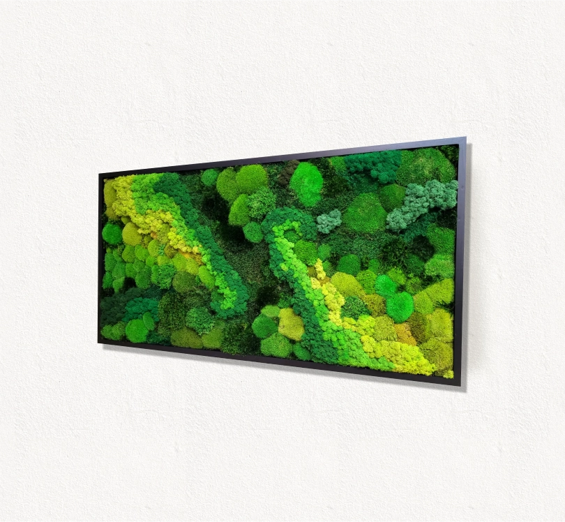 Moss frame,  Moss Wall Art