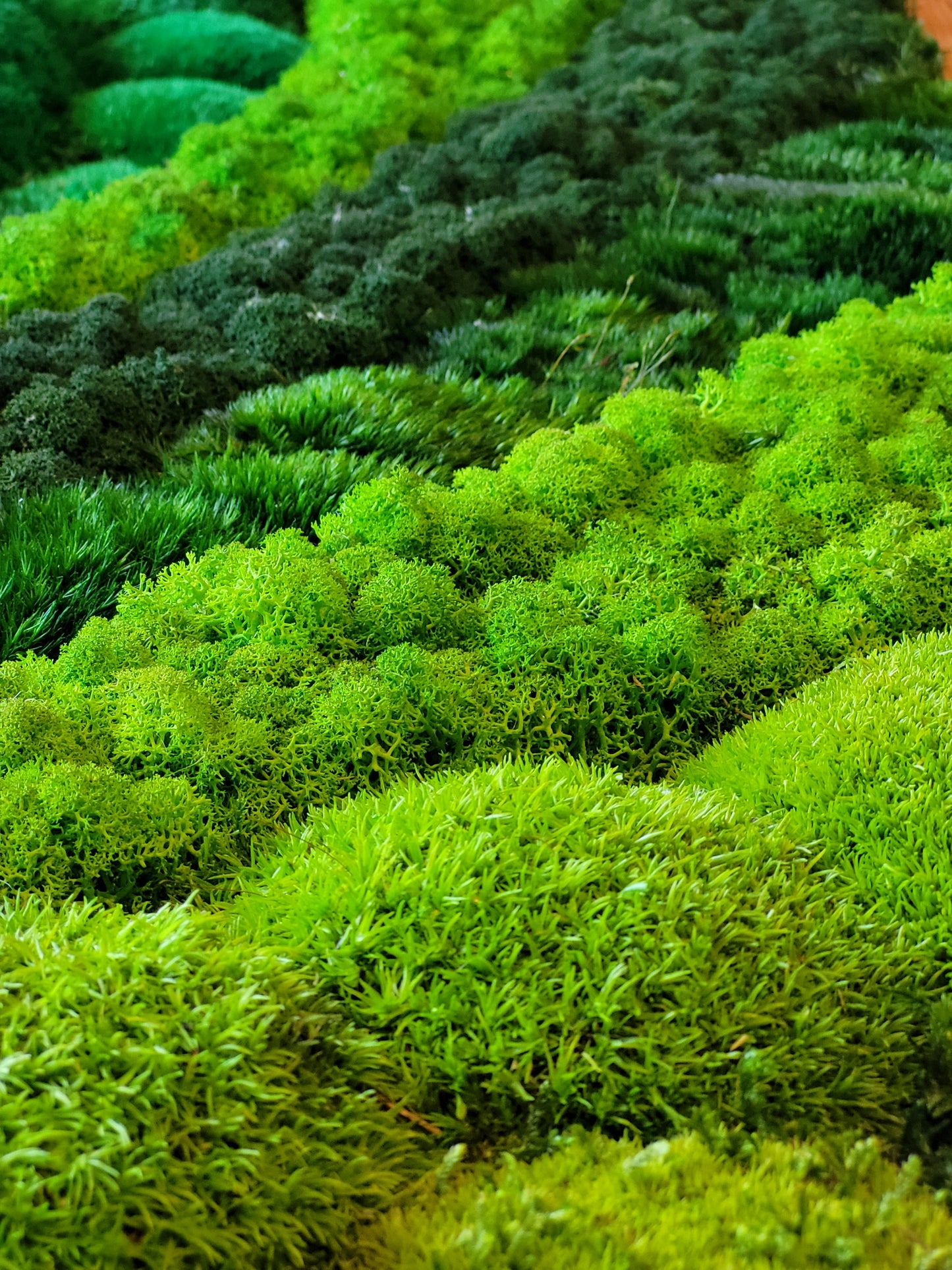 Moss frame,  Moss Wall Art,  Nature Room Decor, Art Modern wall