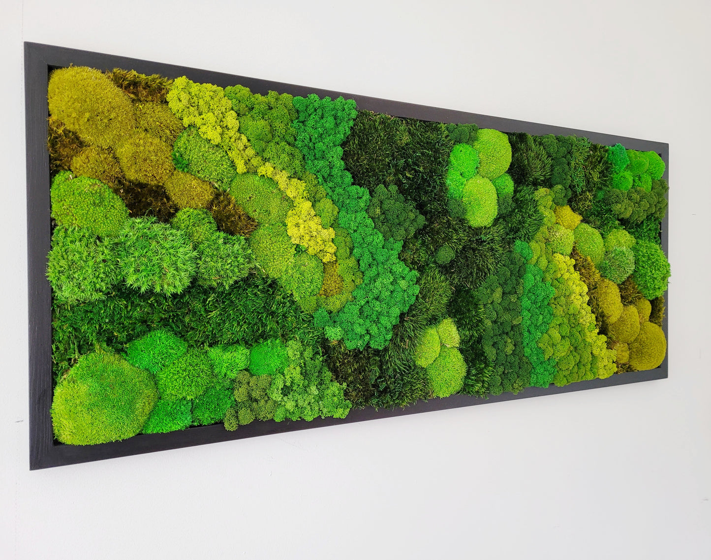 Moss frame,  Moss Wall Art,  Nature Room Decor, Art Modern wall