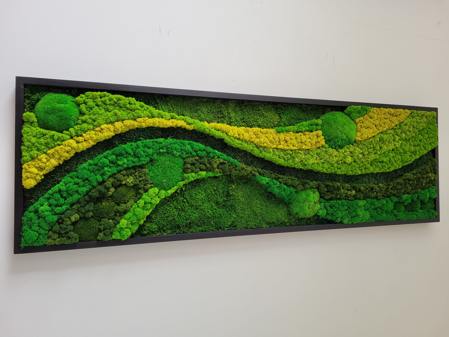 Moss Walls Art