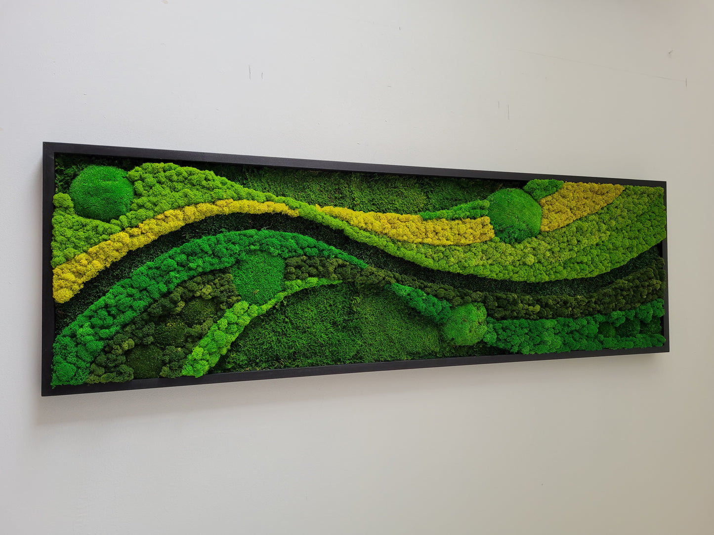 Moss Walls Art