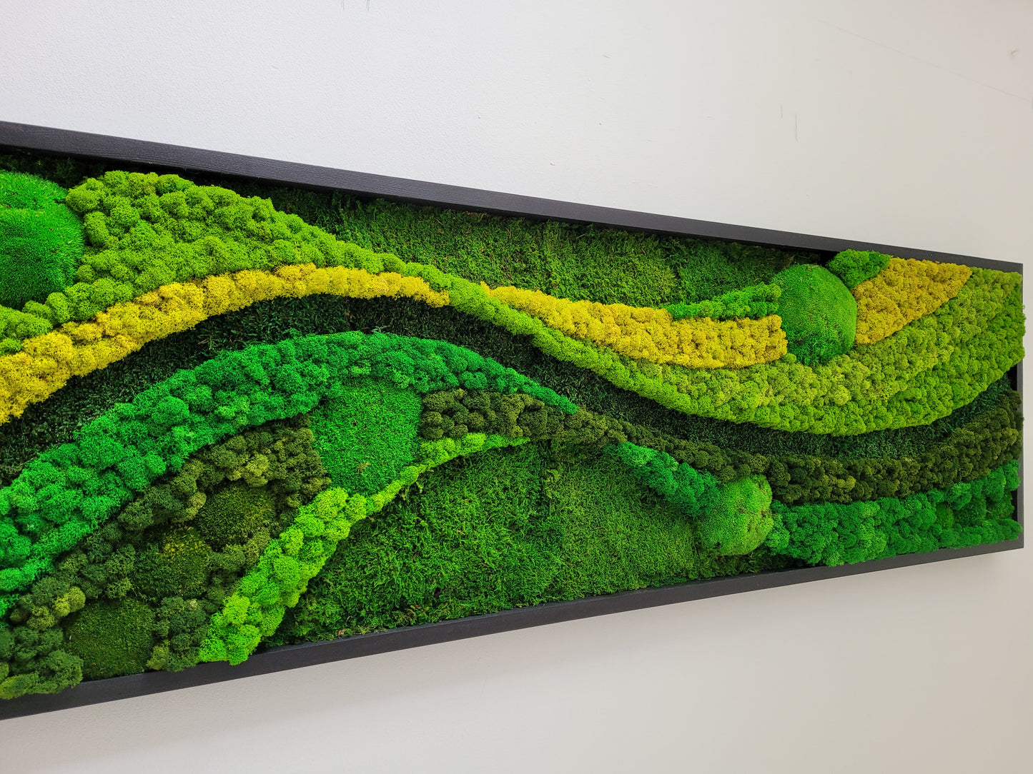Moss Walls Art