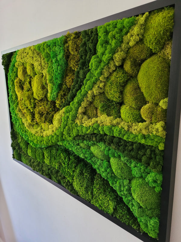Moss frame,  Moss Wall Art,  Nature Room Decor, Art Modern wall