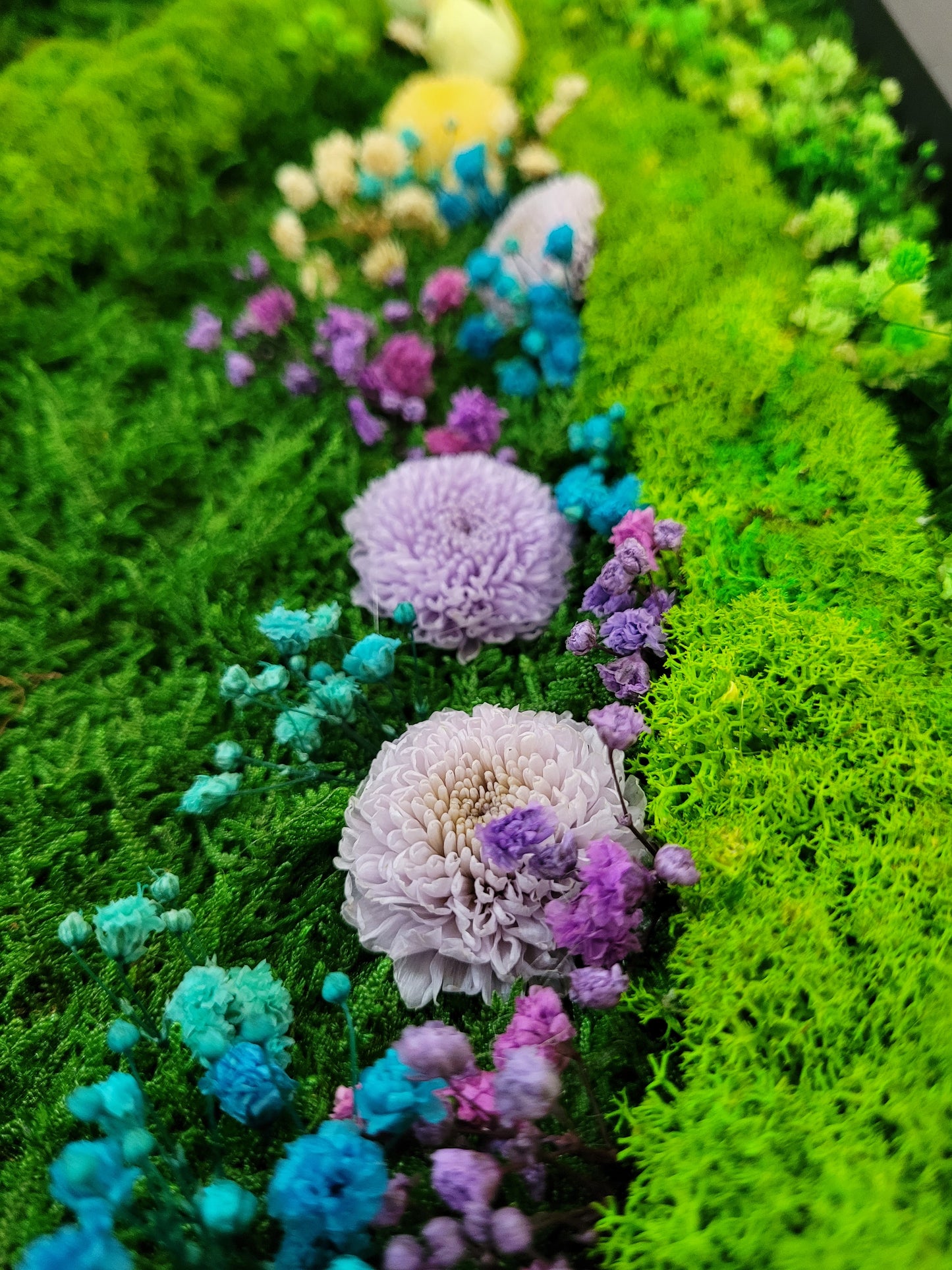 Preserved Moss Art Framed