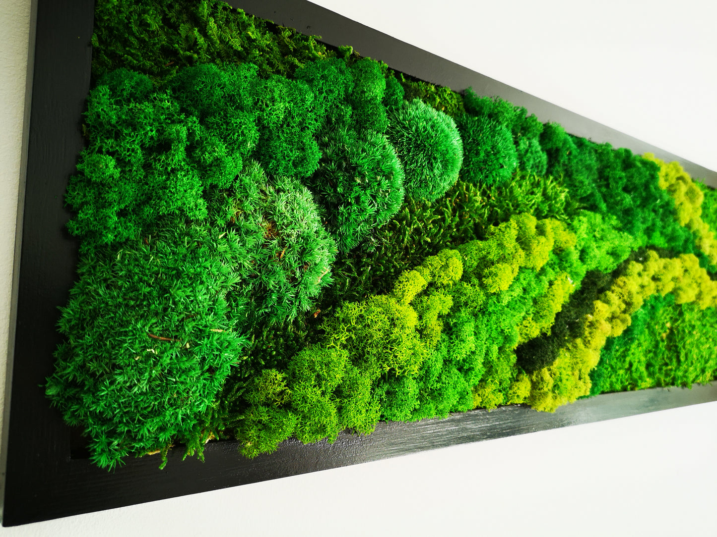 Wall Art,  Nature Room Decor, Art Modern wall