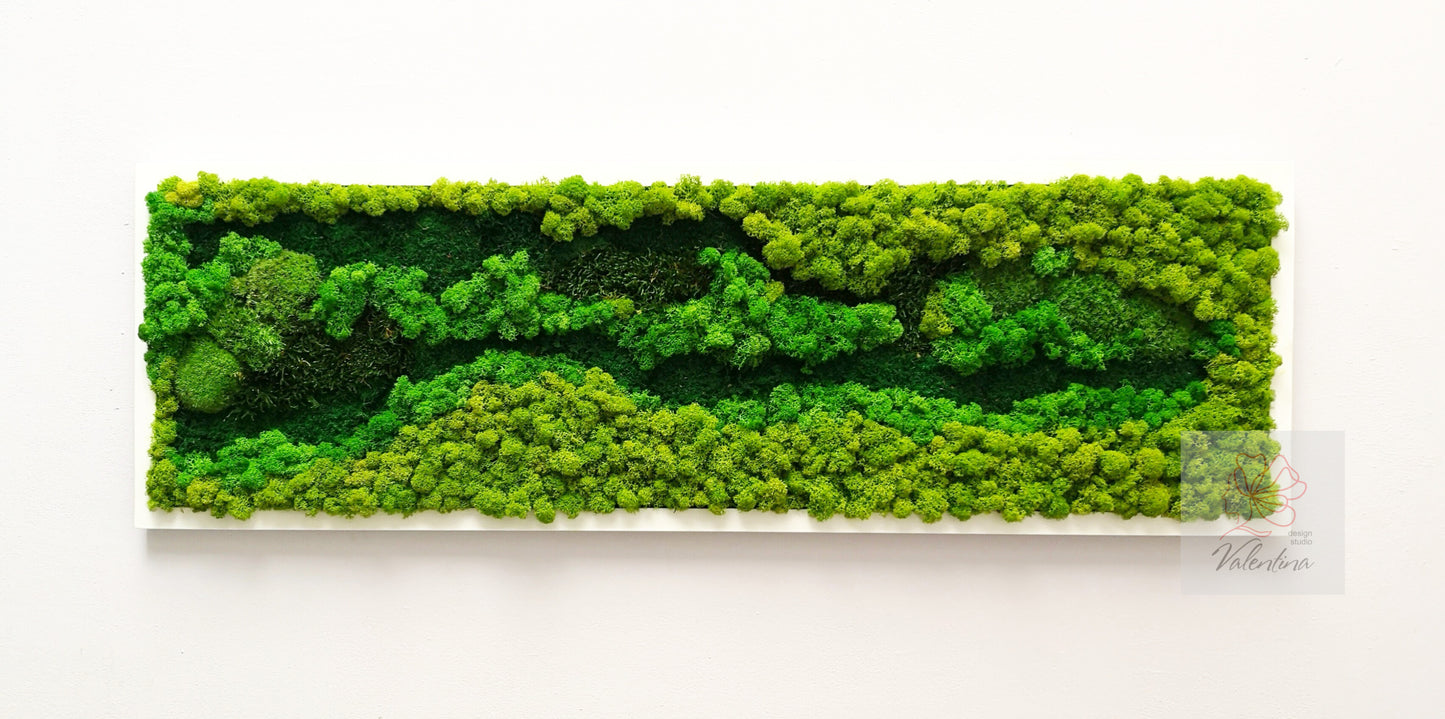 Preserved Moss Art Framed. Picture of preserved moss