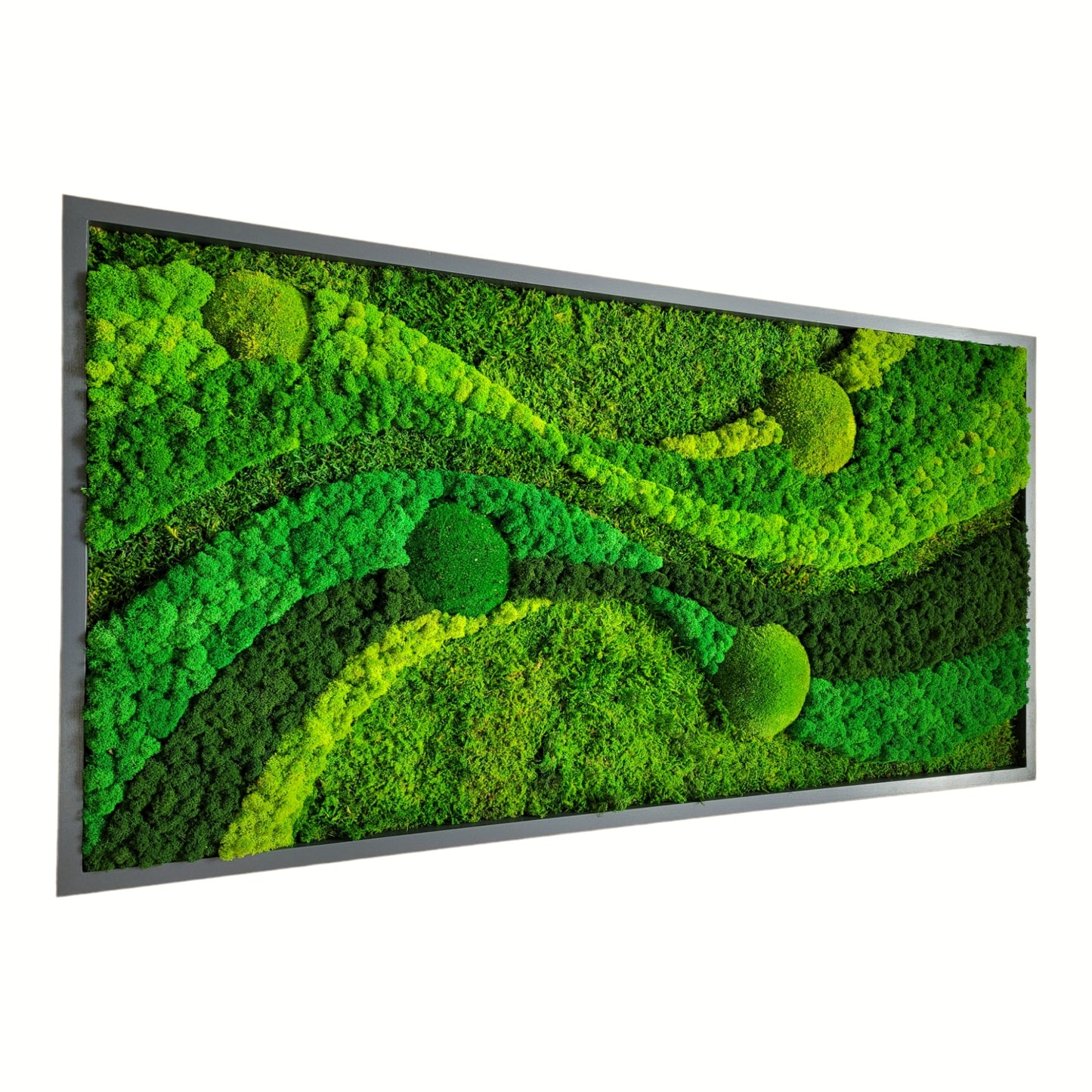 Moss frame,  Moss Wall Art,  Nature Room Decor, Art Modern wall