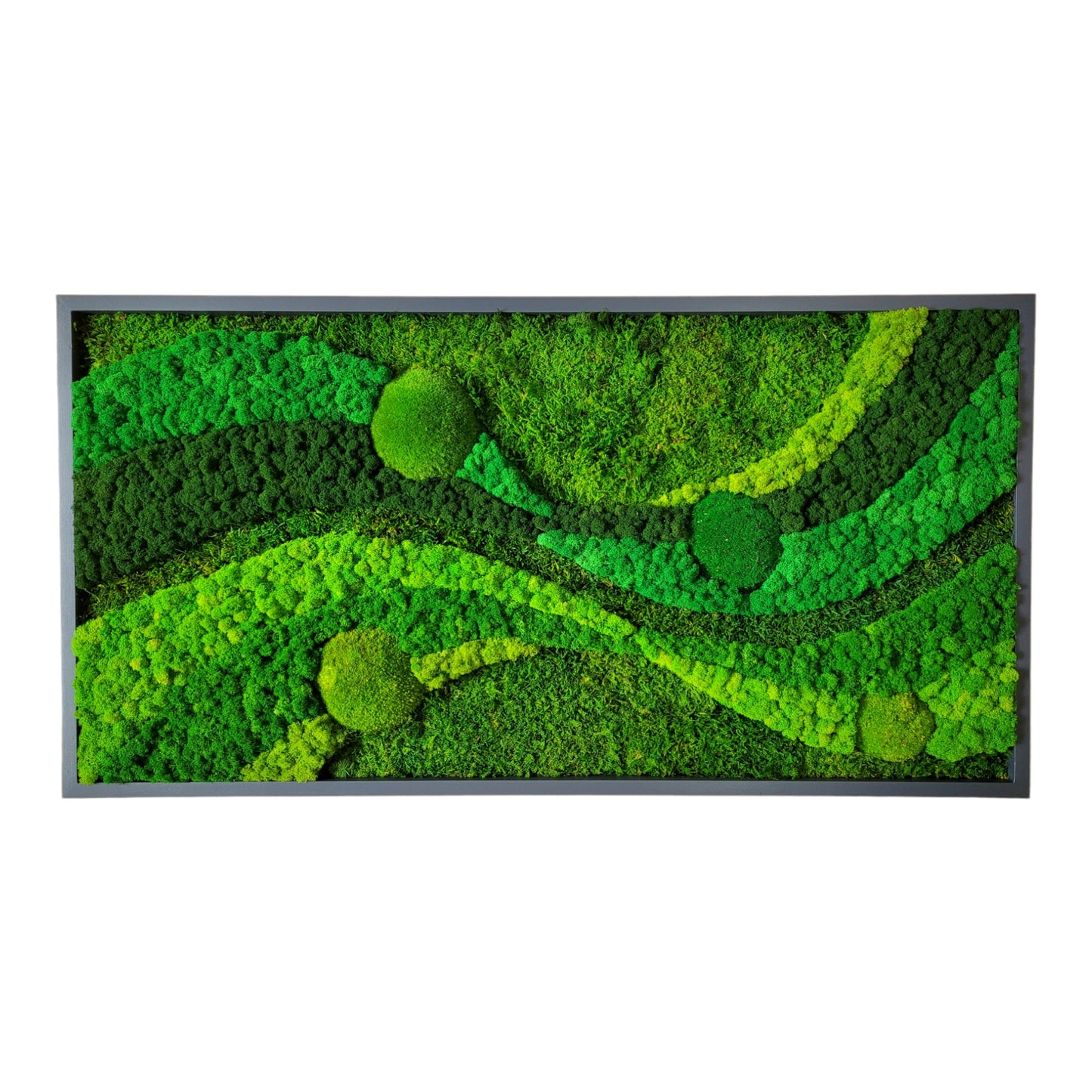 Moss frame,  Moss Wall Art,  Nature Room Decor, Art Modern wall